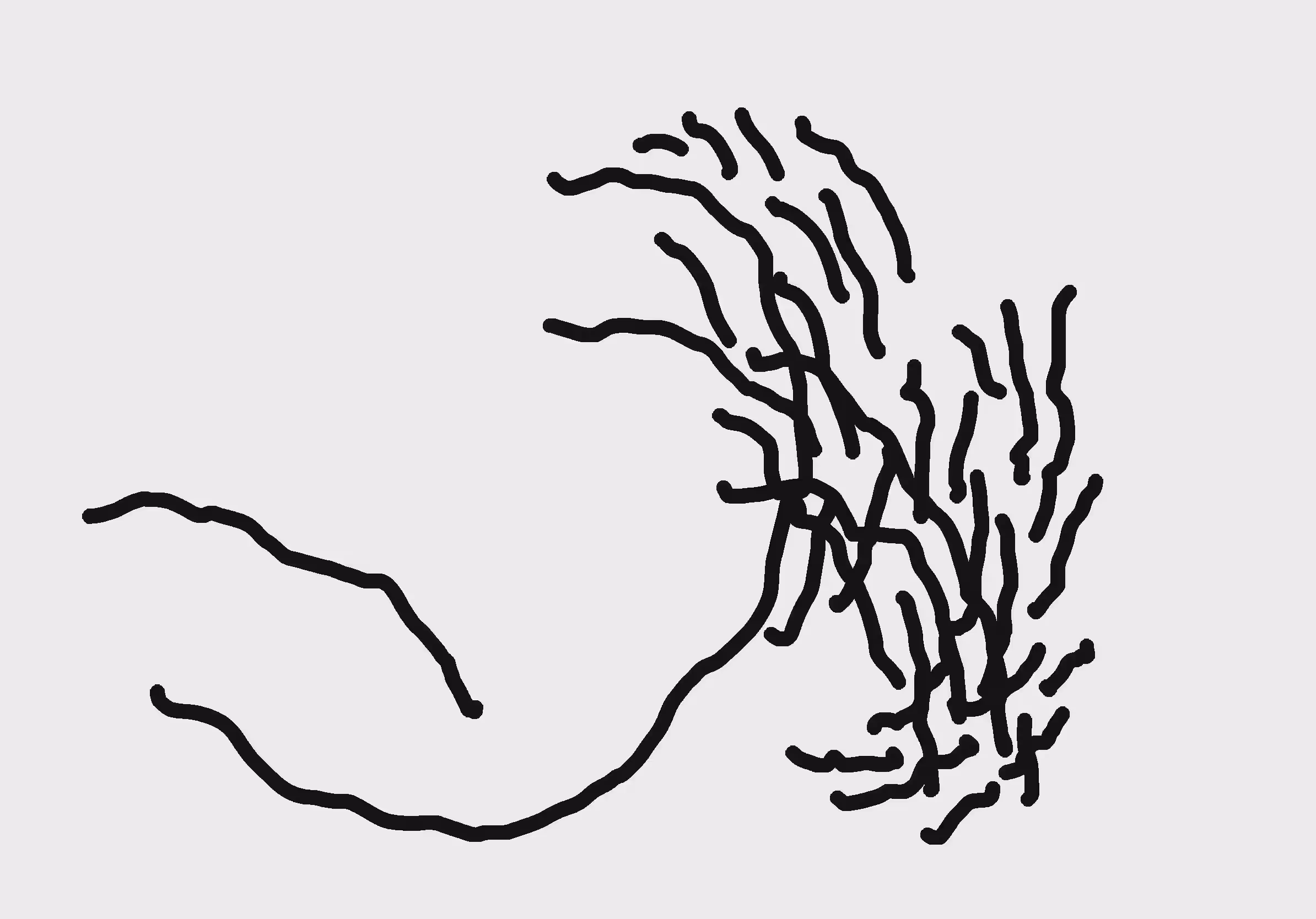 DDD: #016