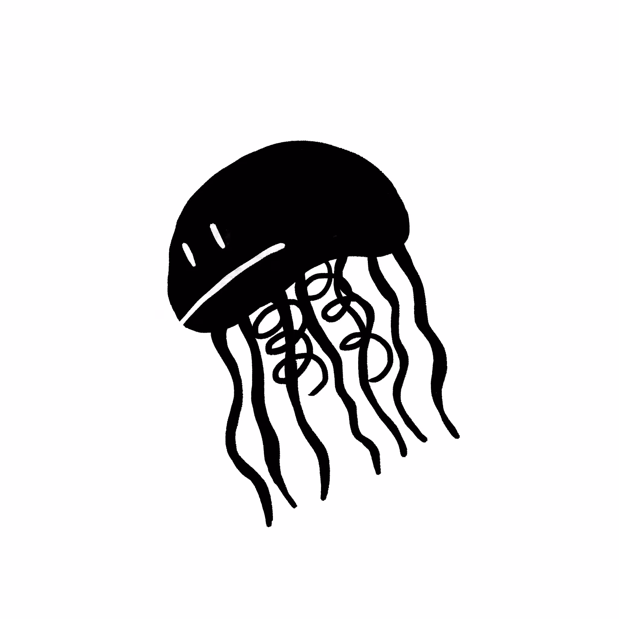 Jellyfish