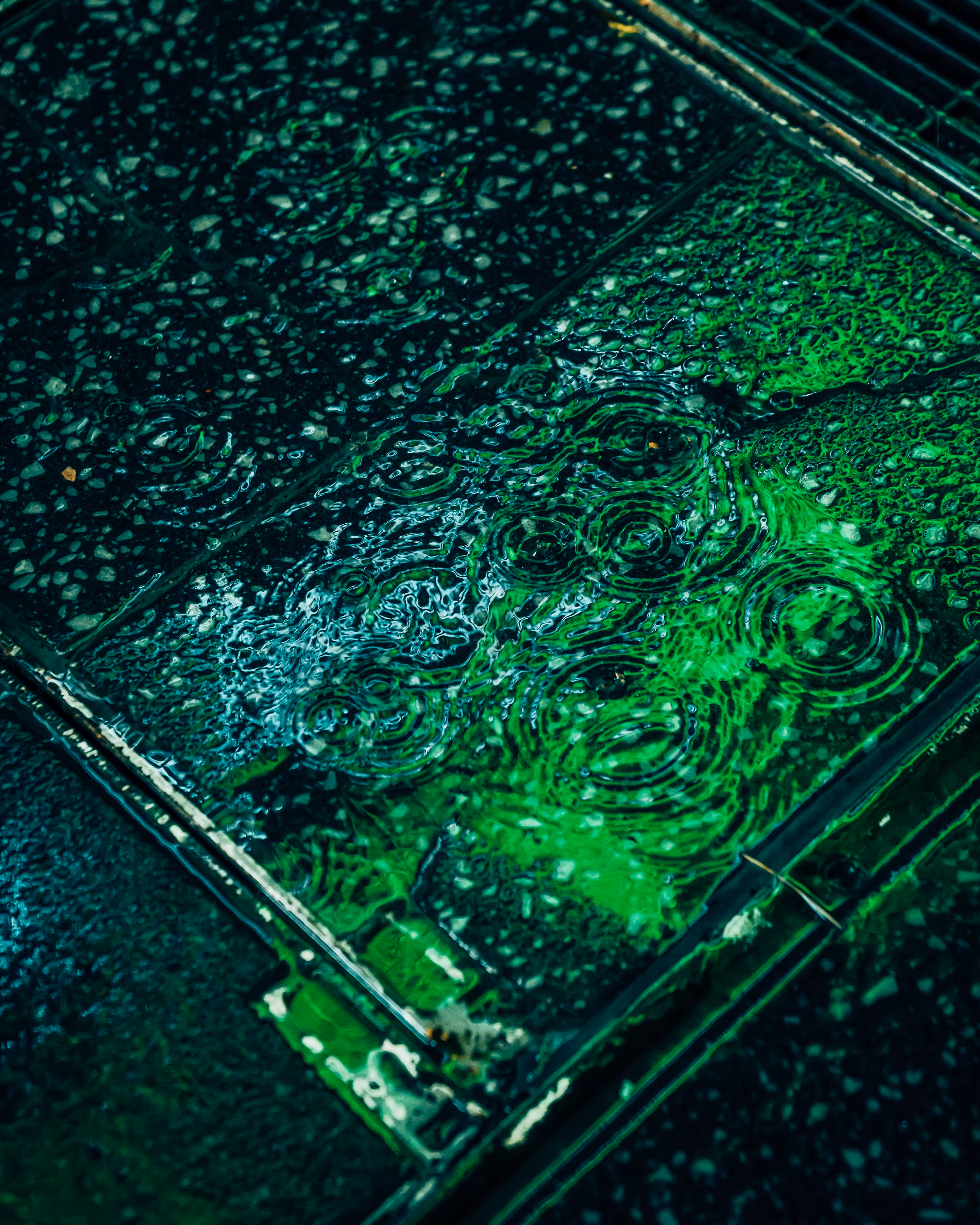 DRIP DROP: DRIP #646