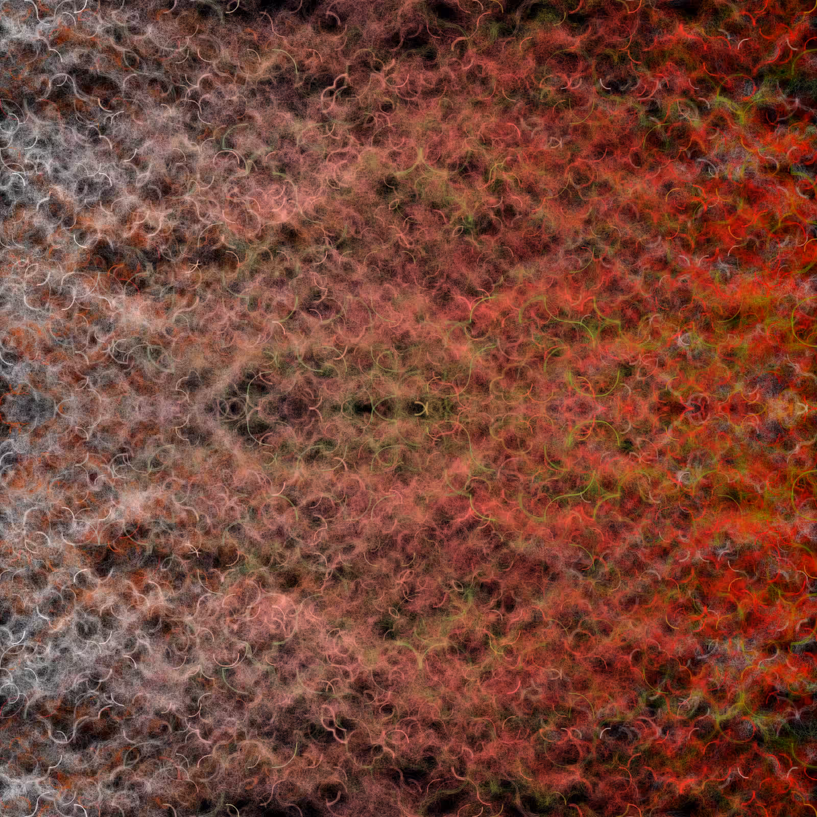 Define, Divide, Divine #13