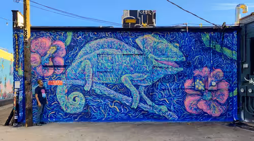 Out of Office Mural Tour '21: Oklahoma City Finished Wall - Similing Chameleon!