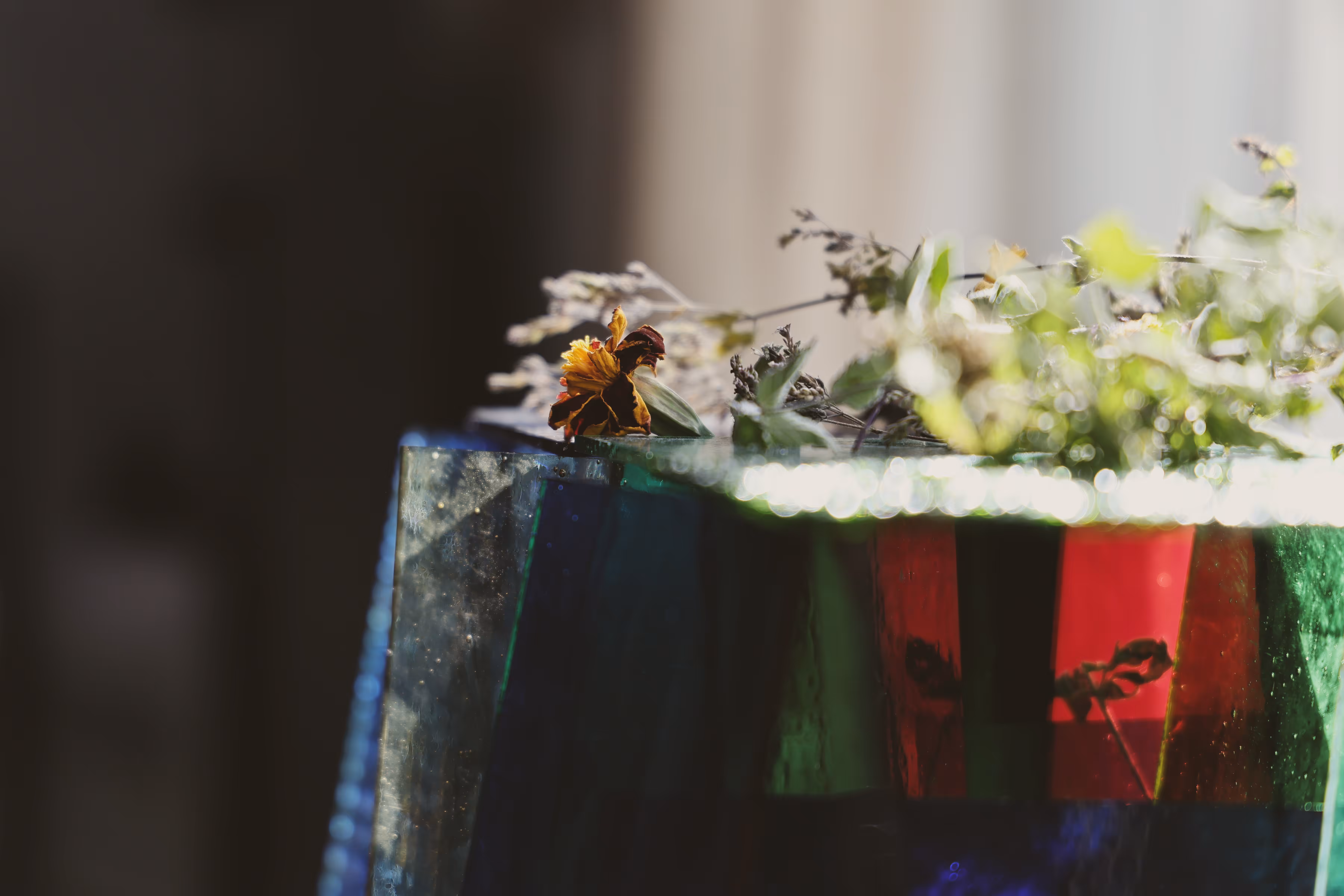 _rev_elation: _thrive