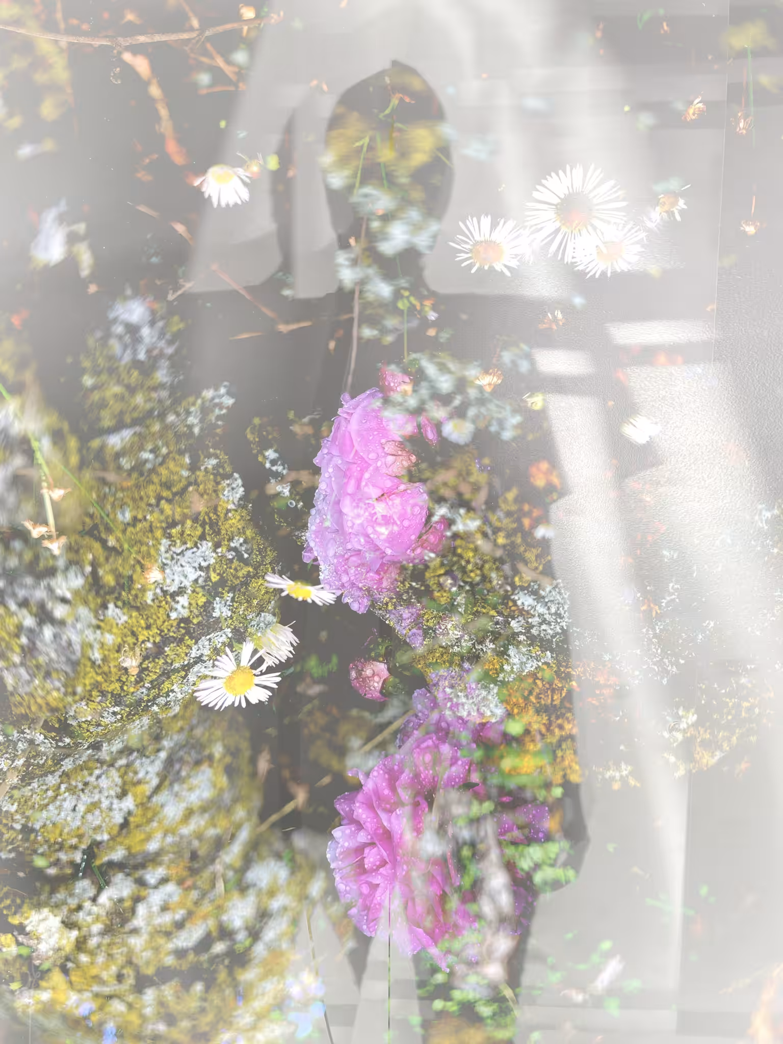 hazy ii 