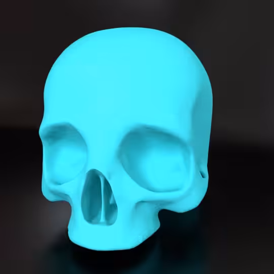 SkullZ #66
