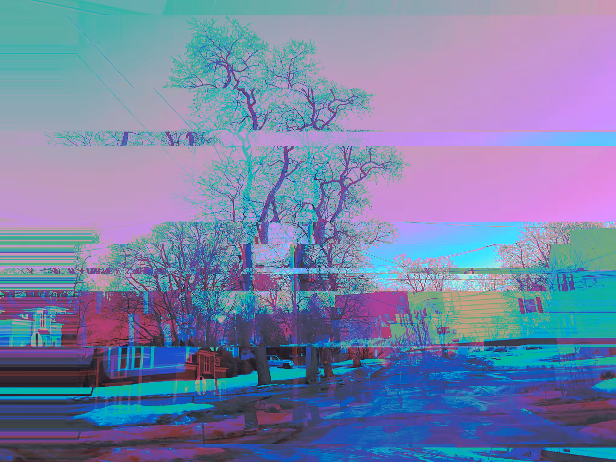treez
