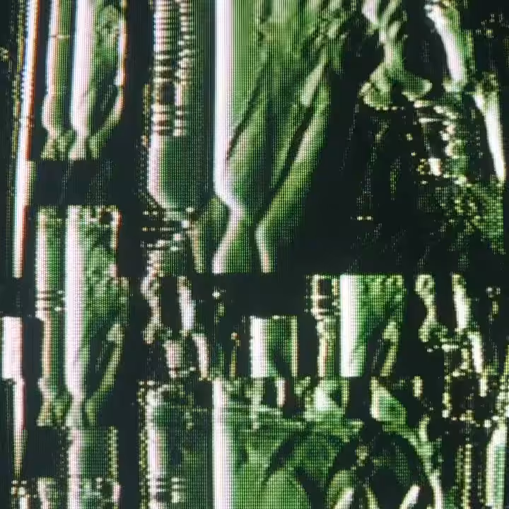 ⅄s╚撮影-D▒▒