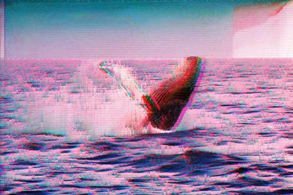 Whale of Fortune