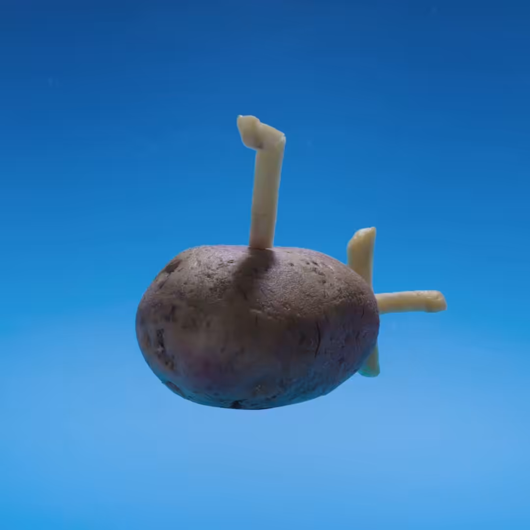 Yellow Potatomarine