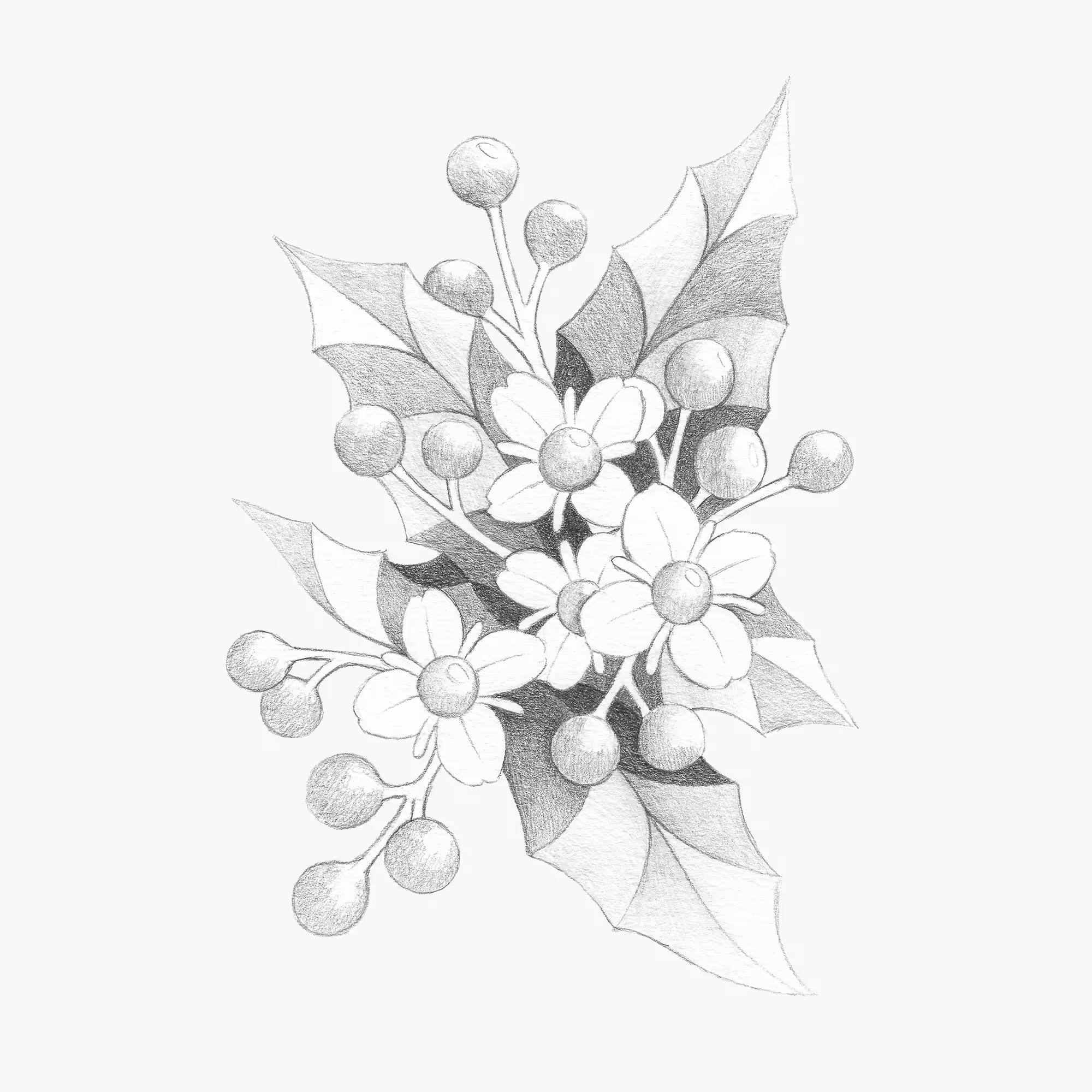 Holly