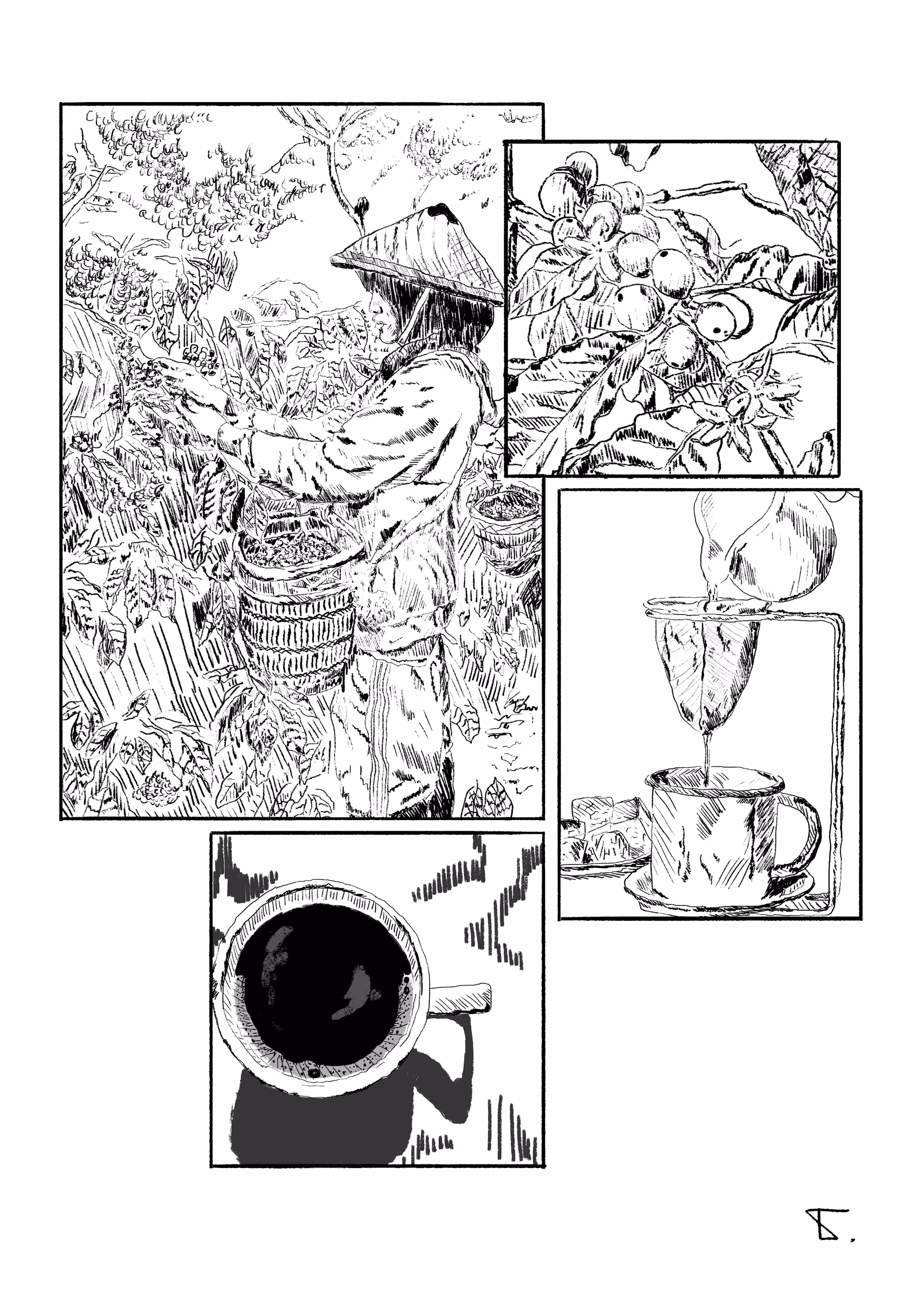 Coffee timeless process