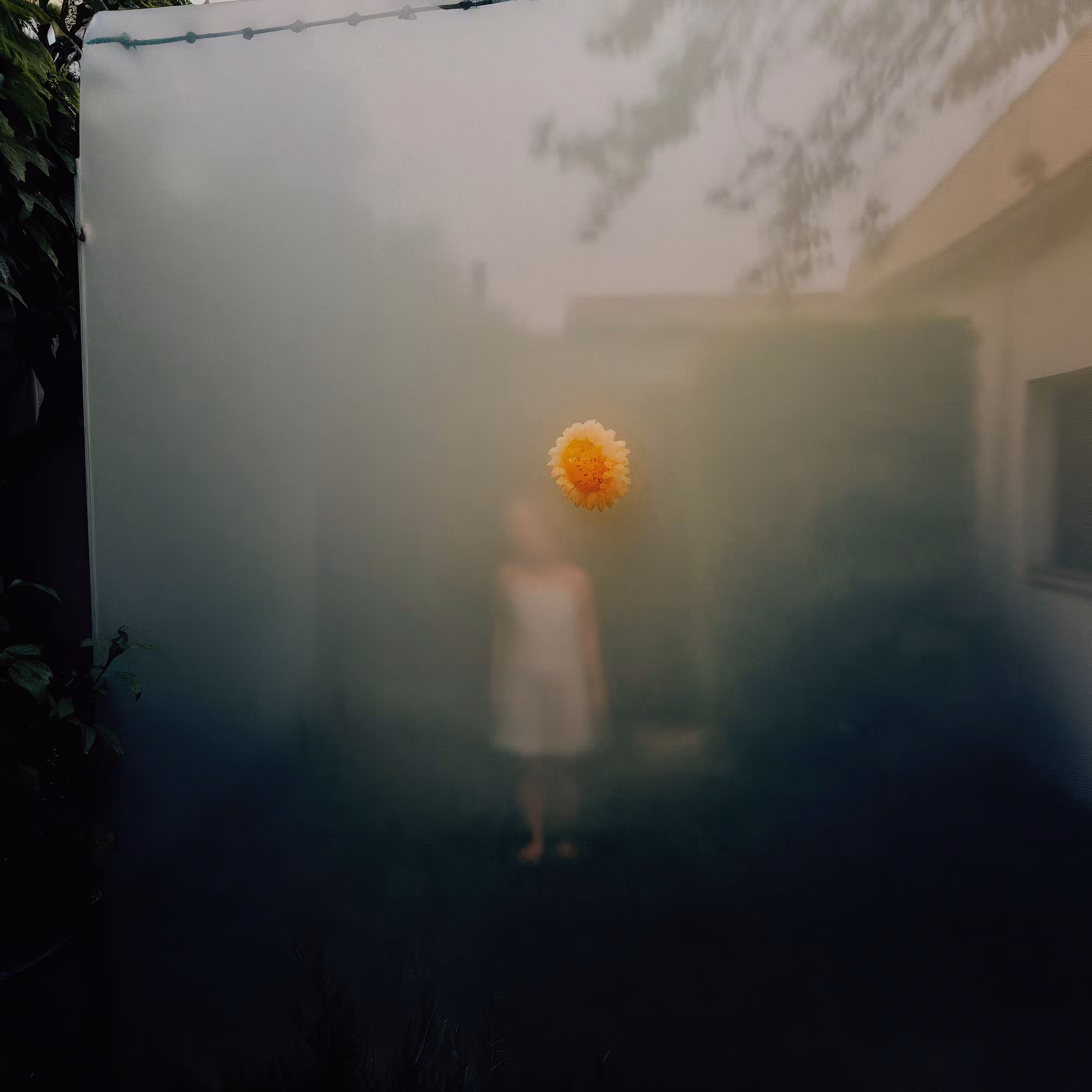 Haunted Garden II