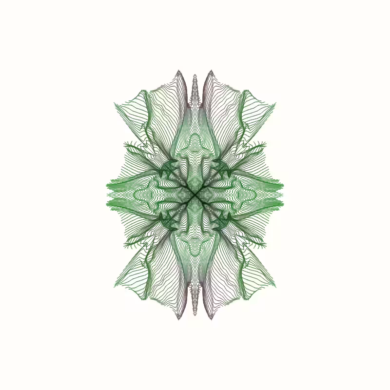 Time Flow #52