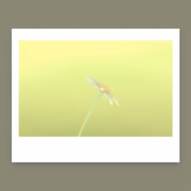 Ode to Summer #3