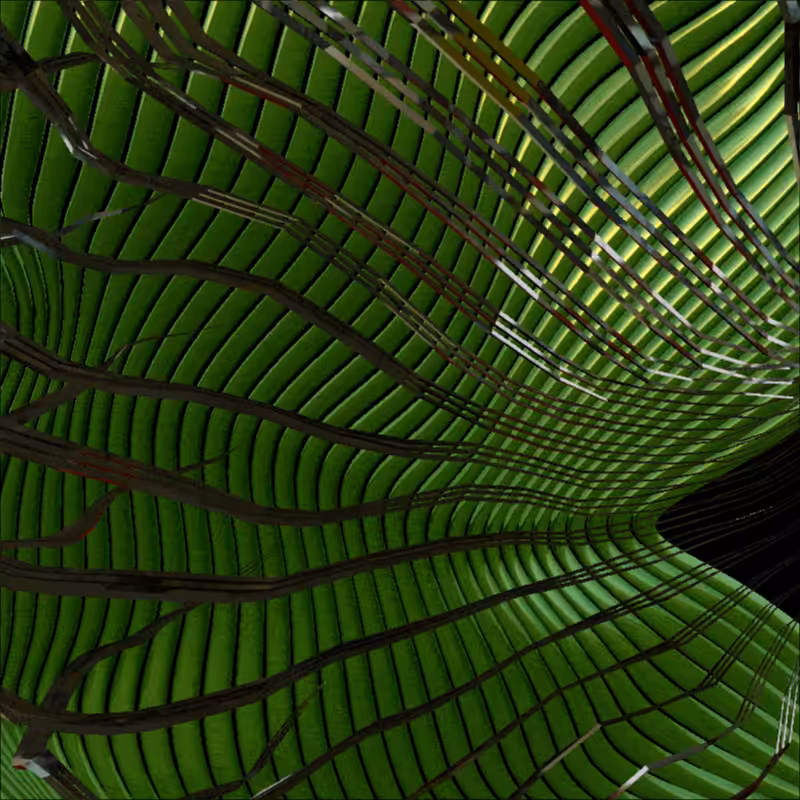 Algae of my head #2
