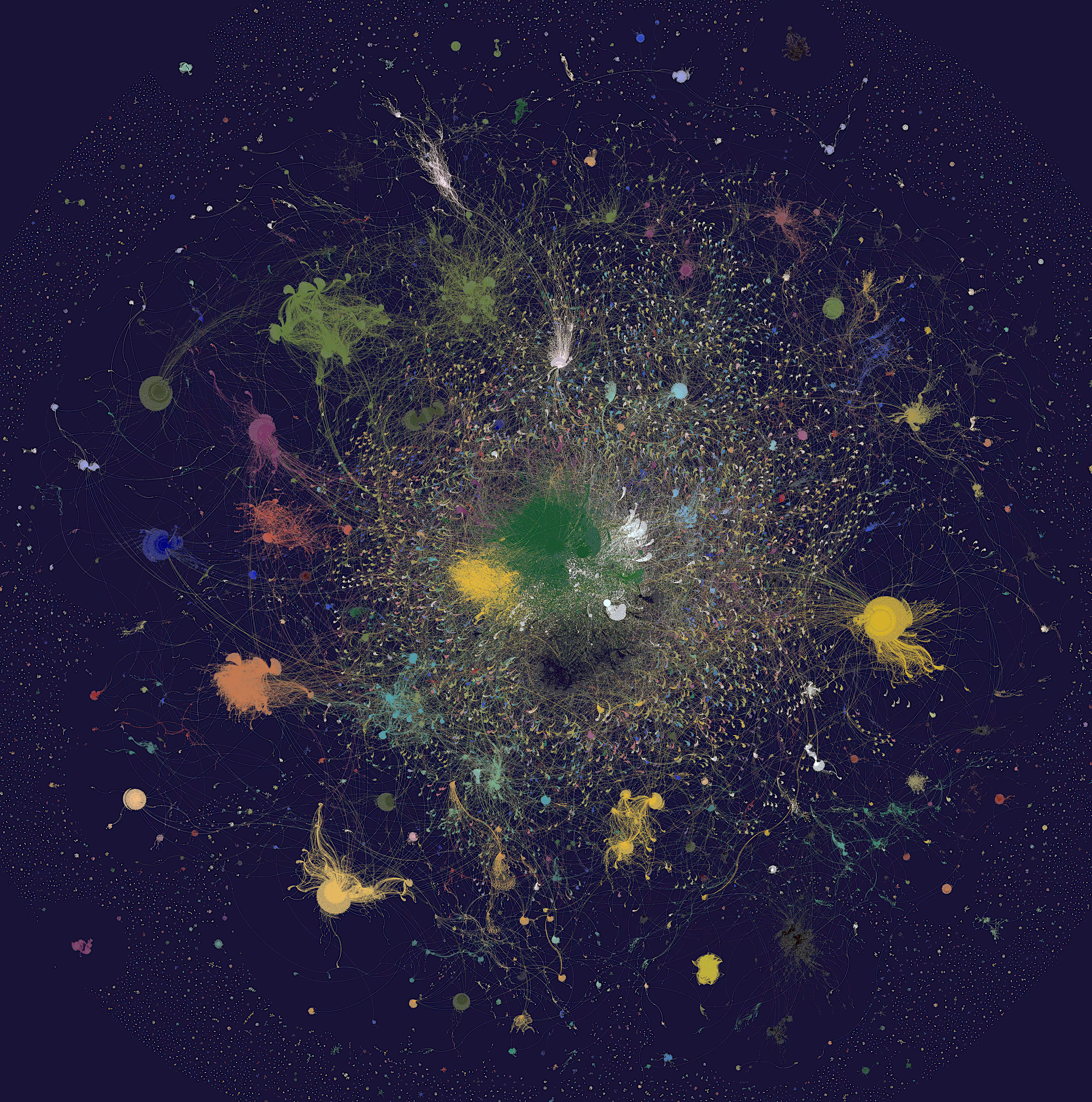 Humanity like flowers: Projection of our humanity in the plan