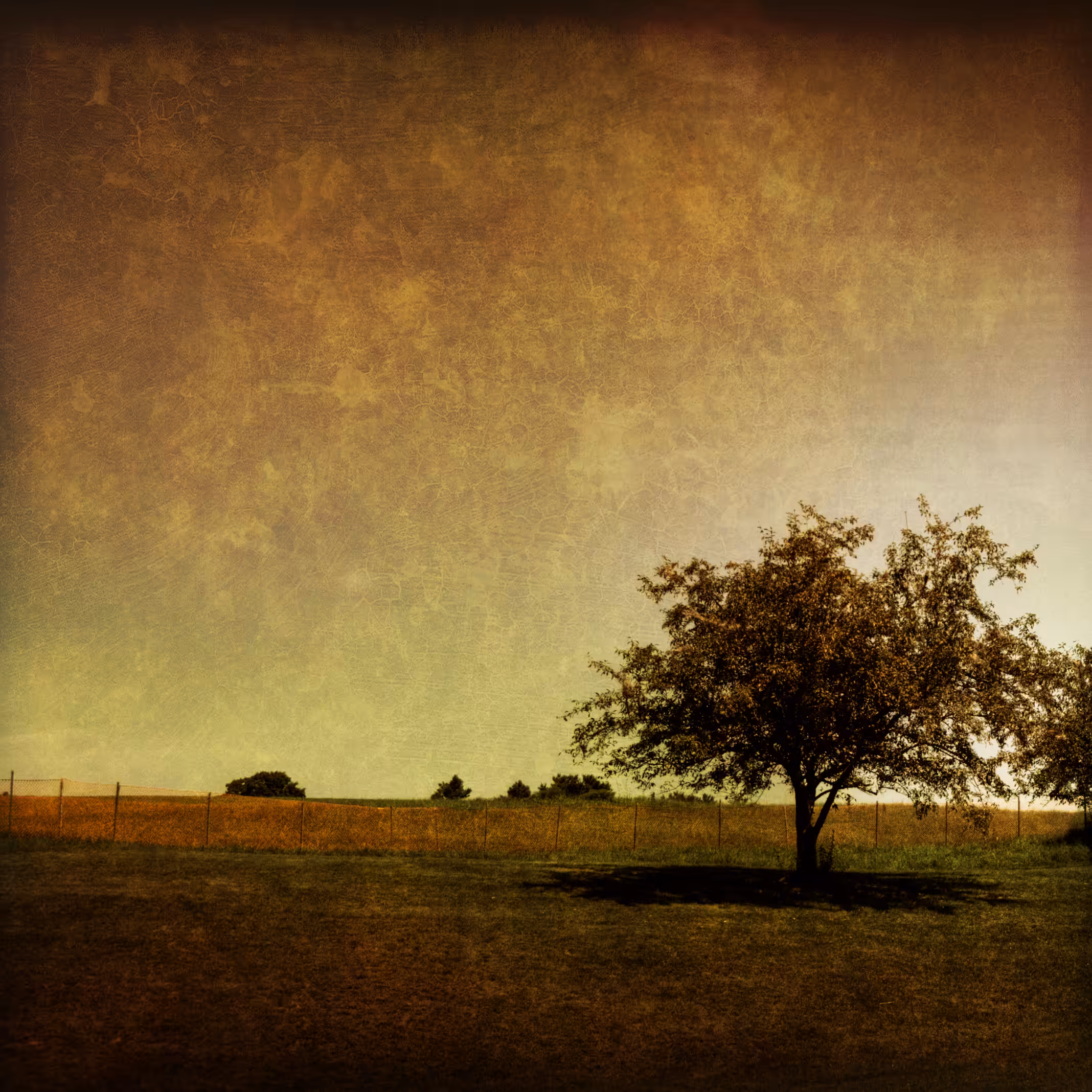 Sitting Alone Under a Golden Sky