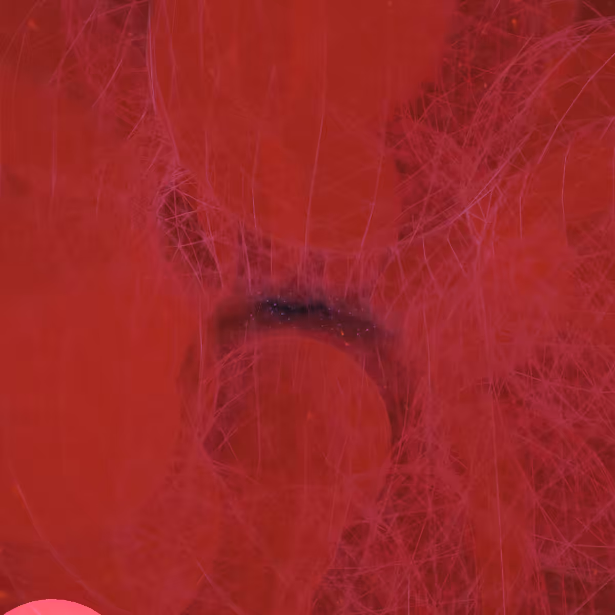 Cosmic Bloom #1066