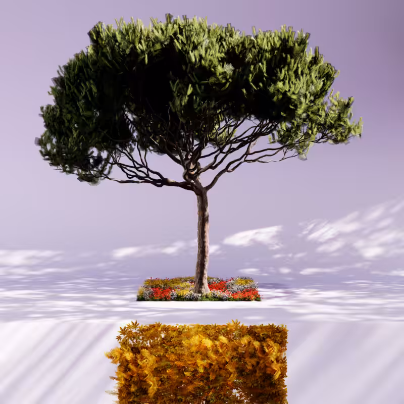Nature rooms #24
