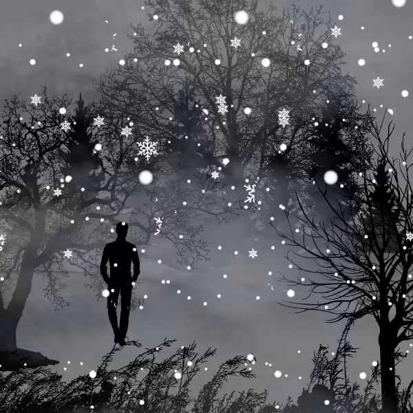 SnowPark #8