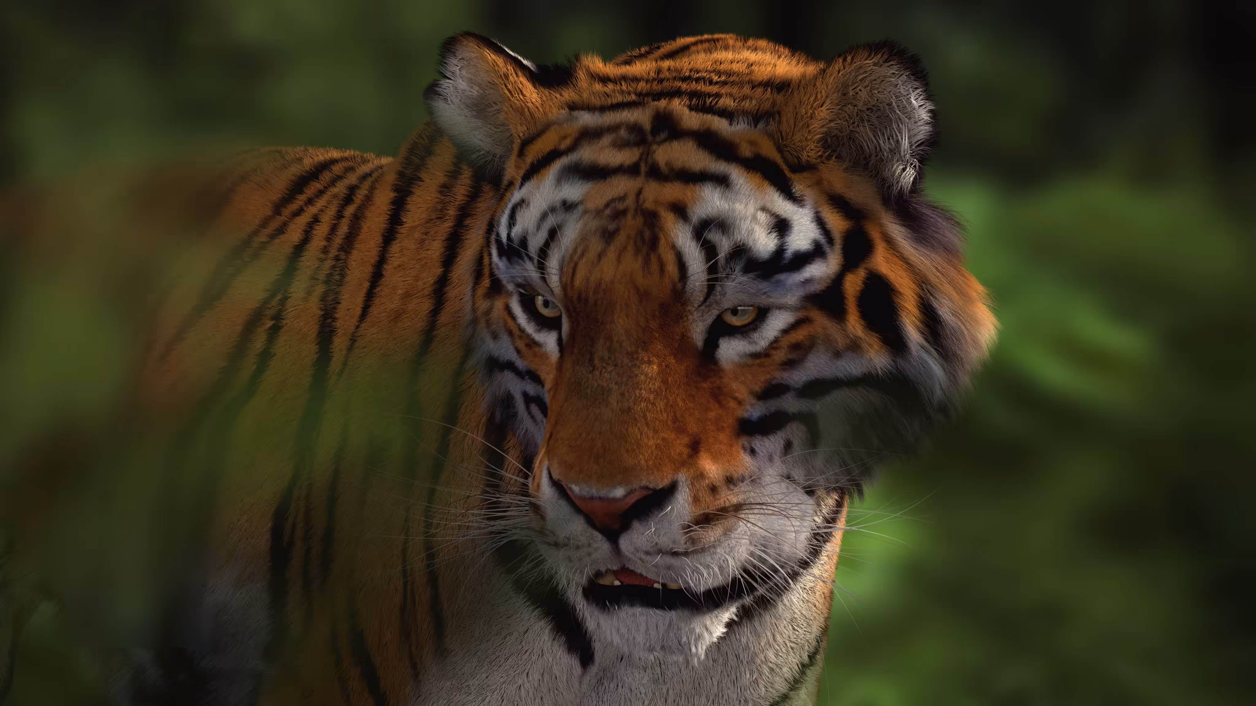 Royal Bengal Tiger