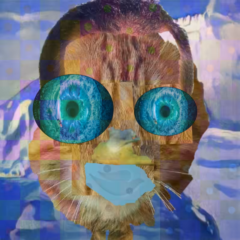 A collage of collages #36