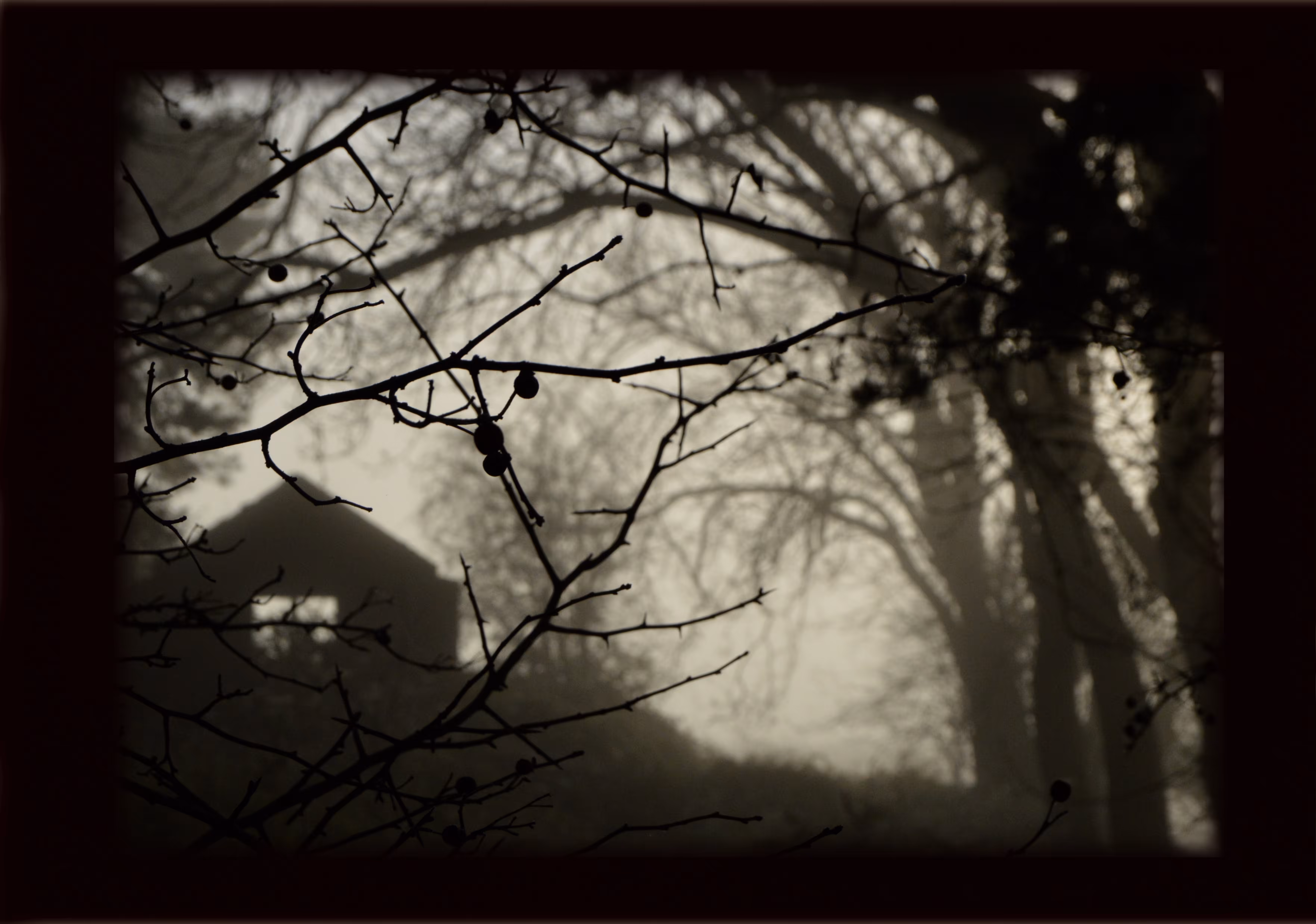 Josef's window 1