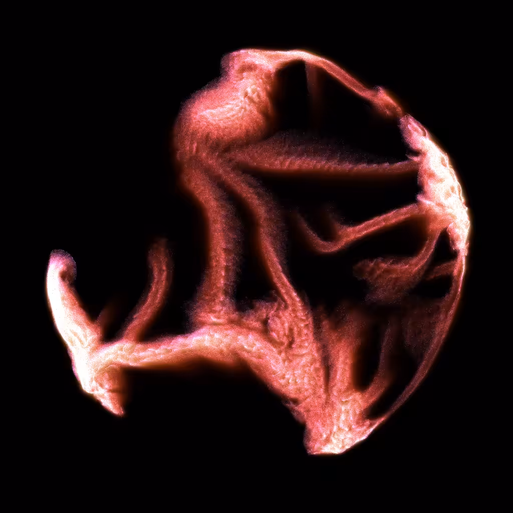 PETRI #81