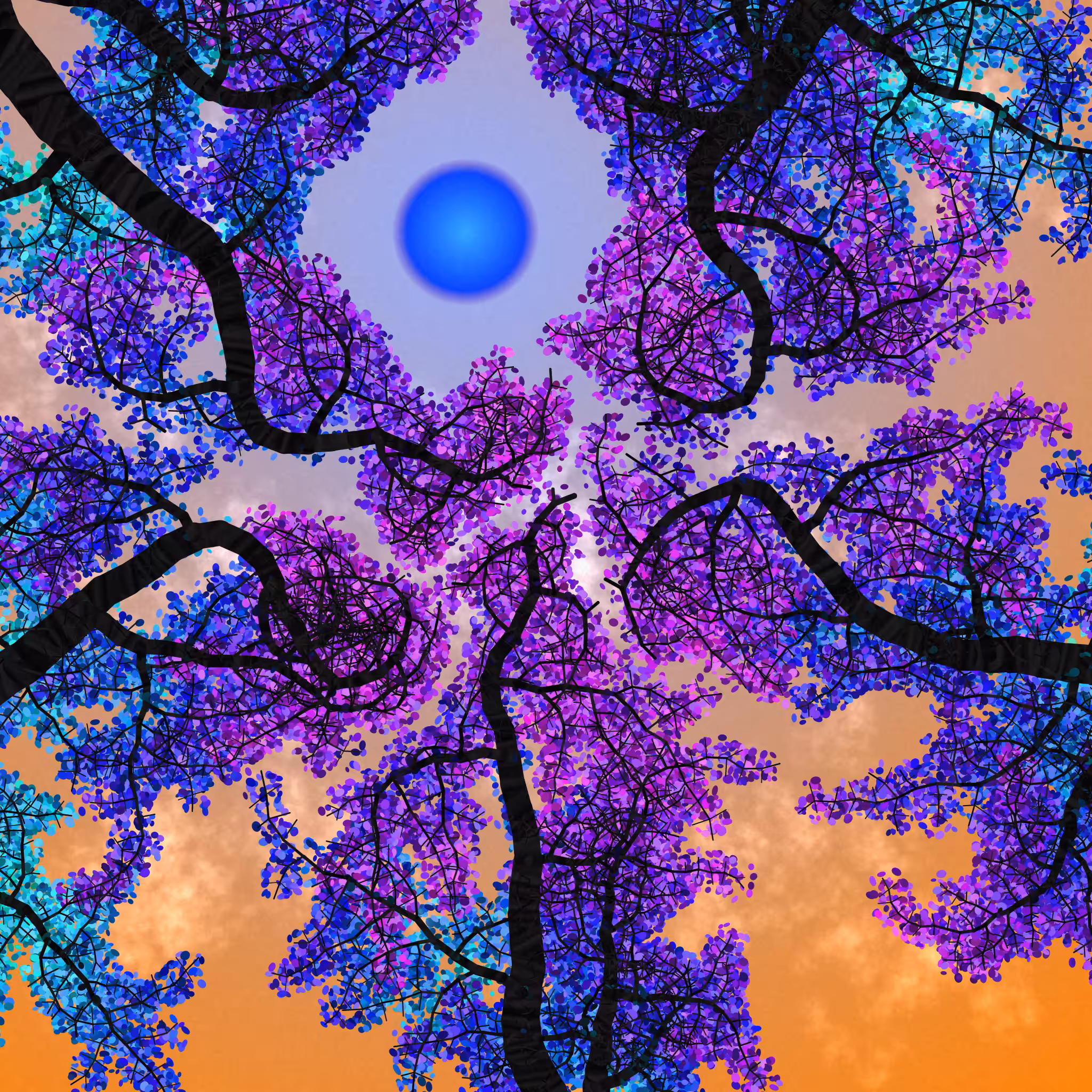 Tree Skyness #58