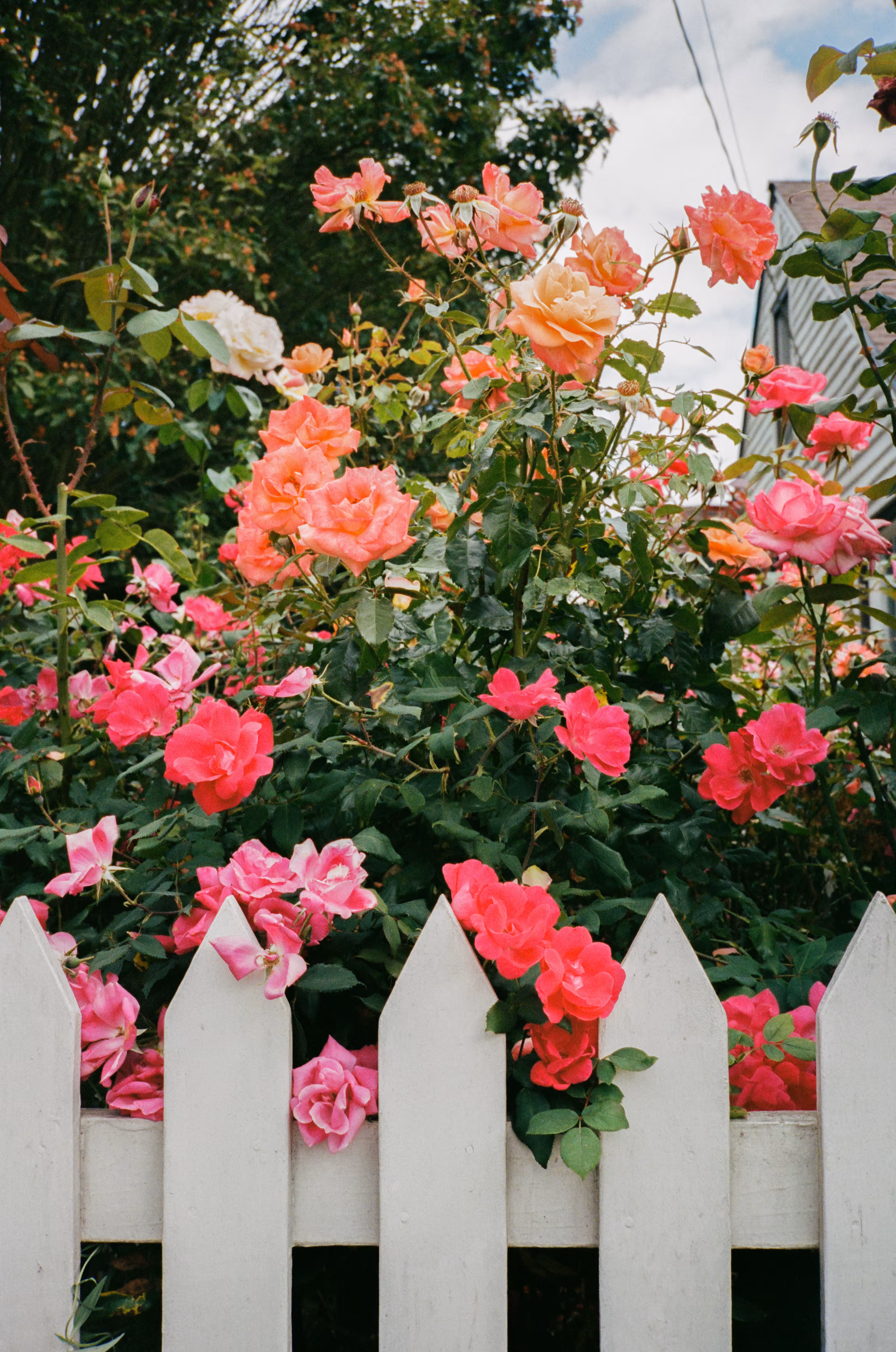 💐