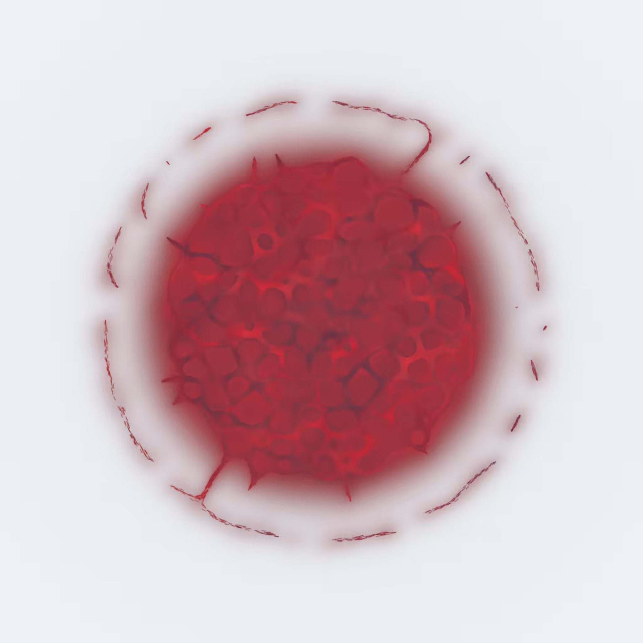 Agnoscopic #24