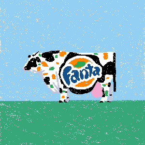 cow #68