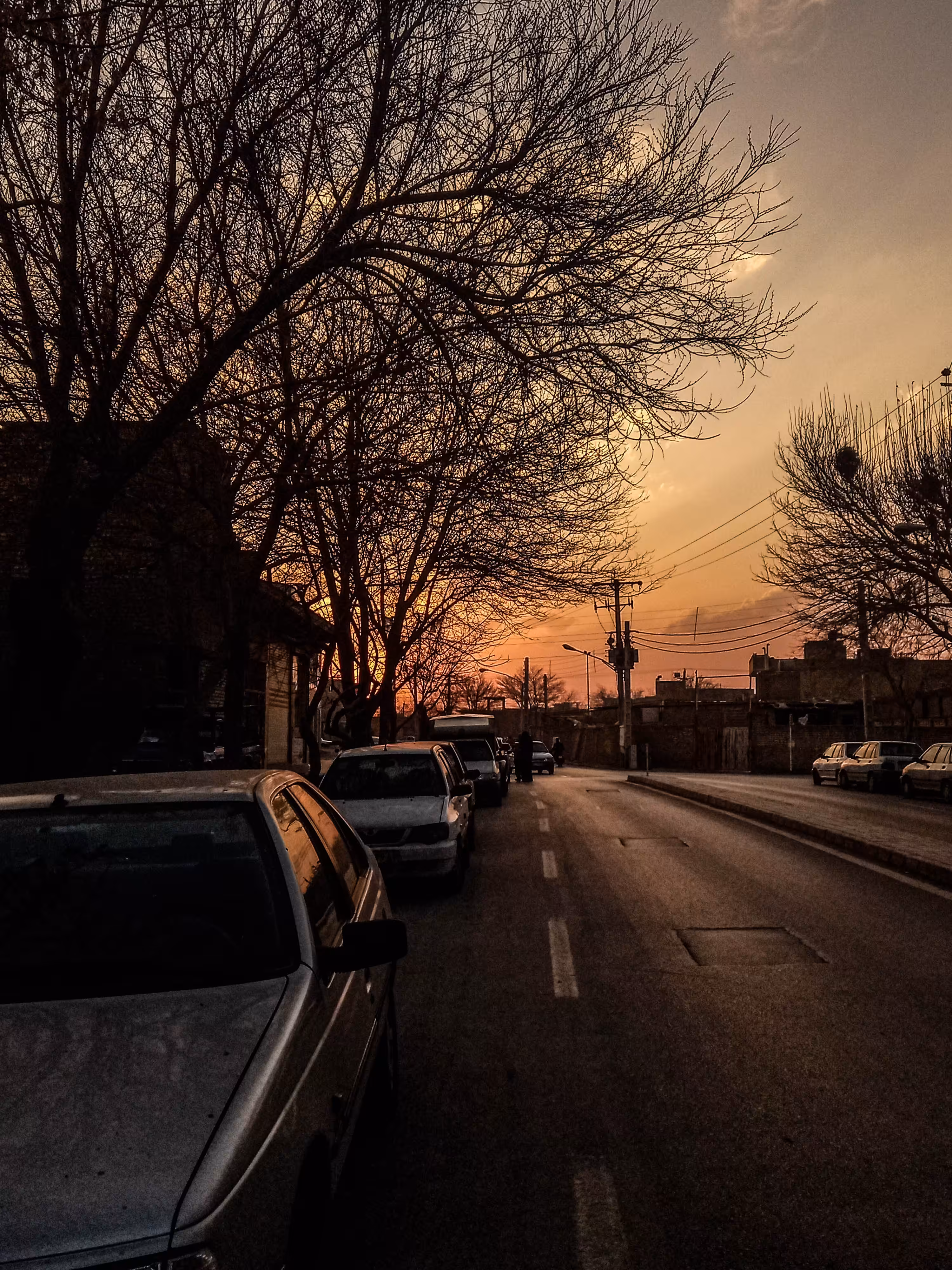 Golden Silence