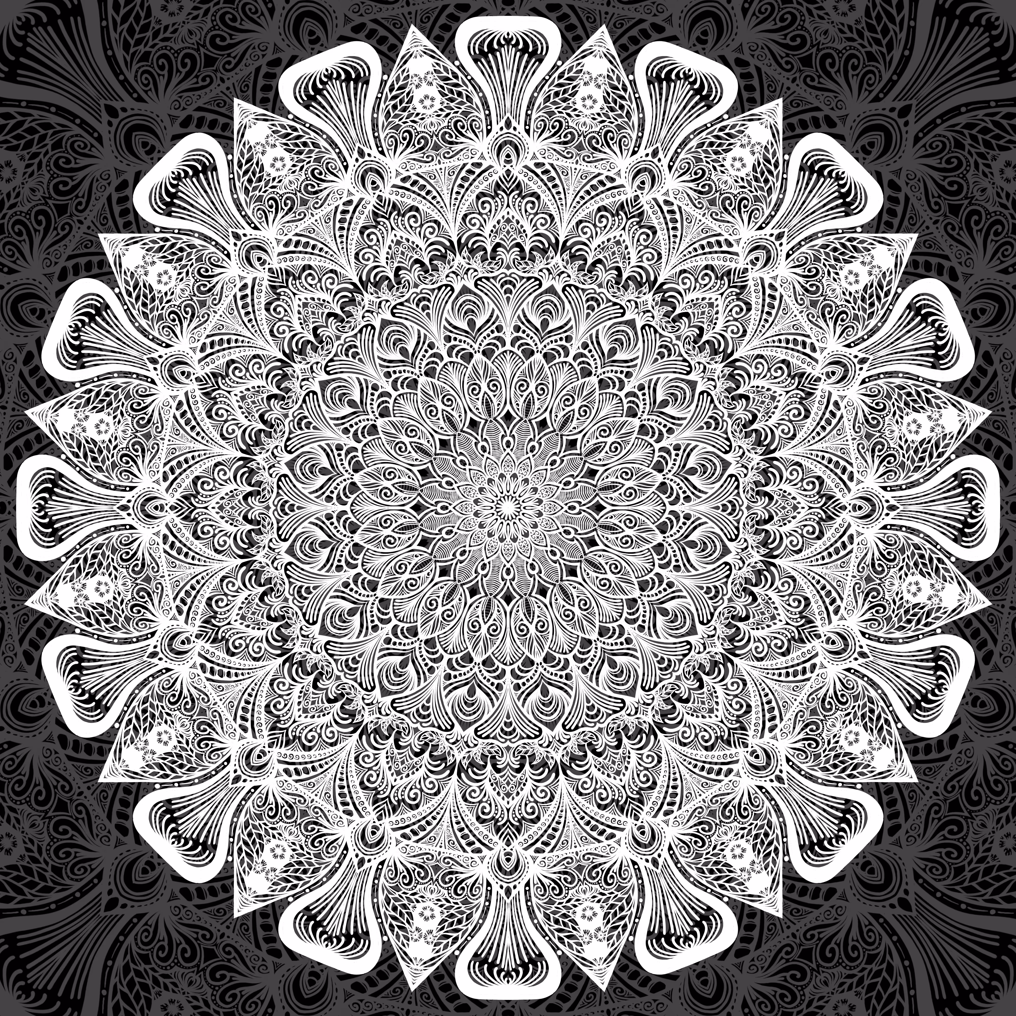 BW Mandala 29