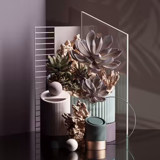 Forms+Shapes: Succulents V2
