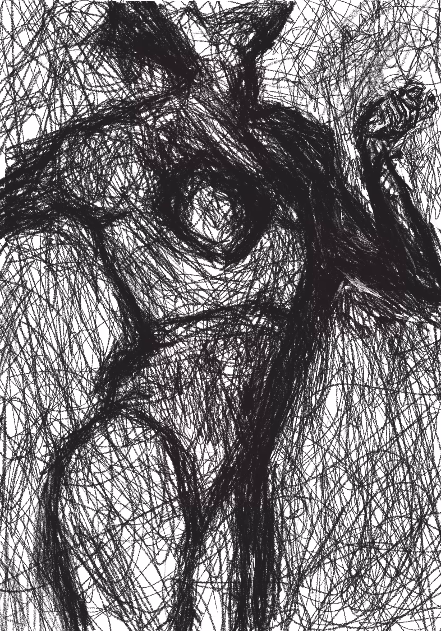I DREW THIS ON PROZAC AND REDBULL 