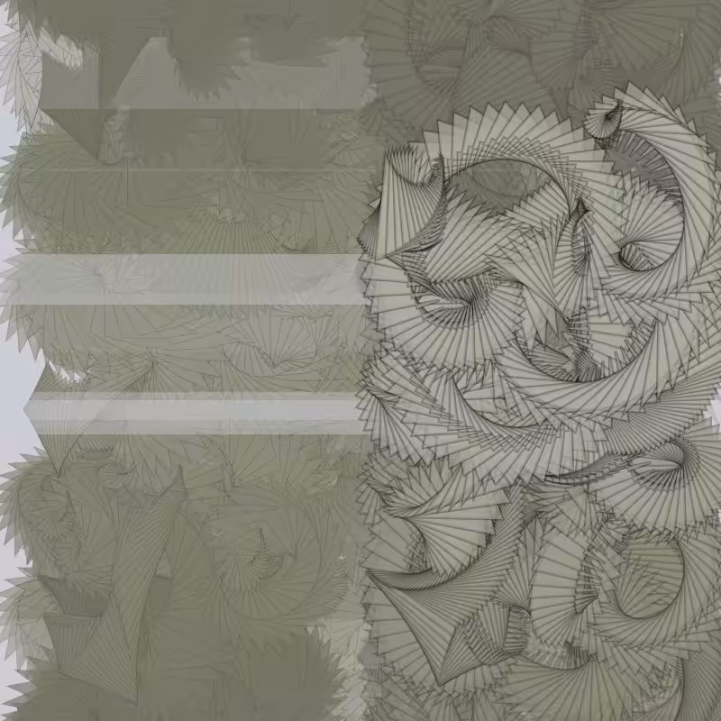 Braids/burdens #27