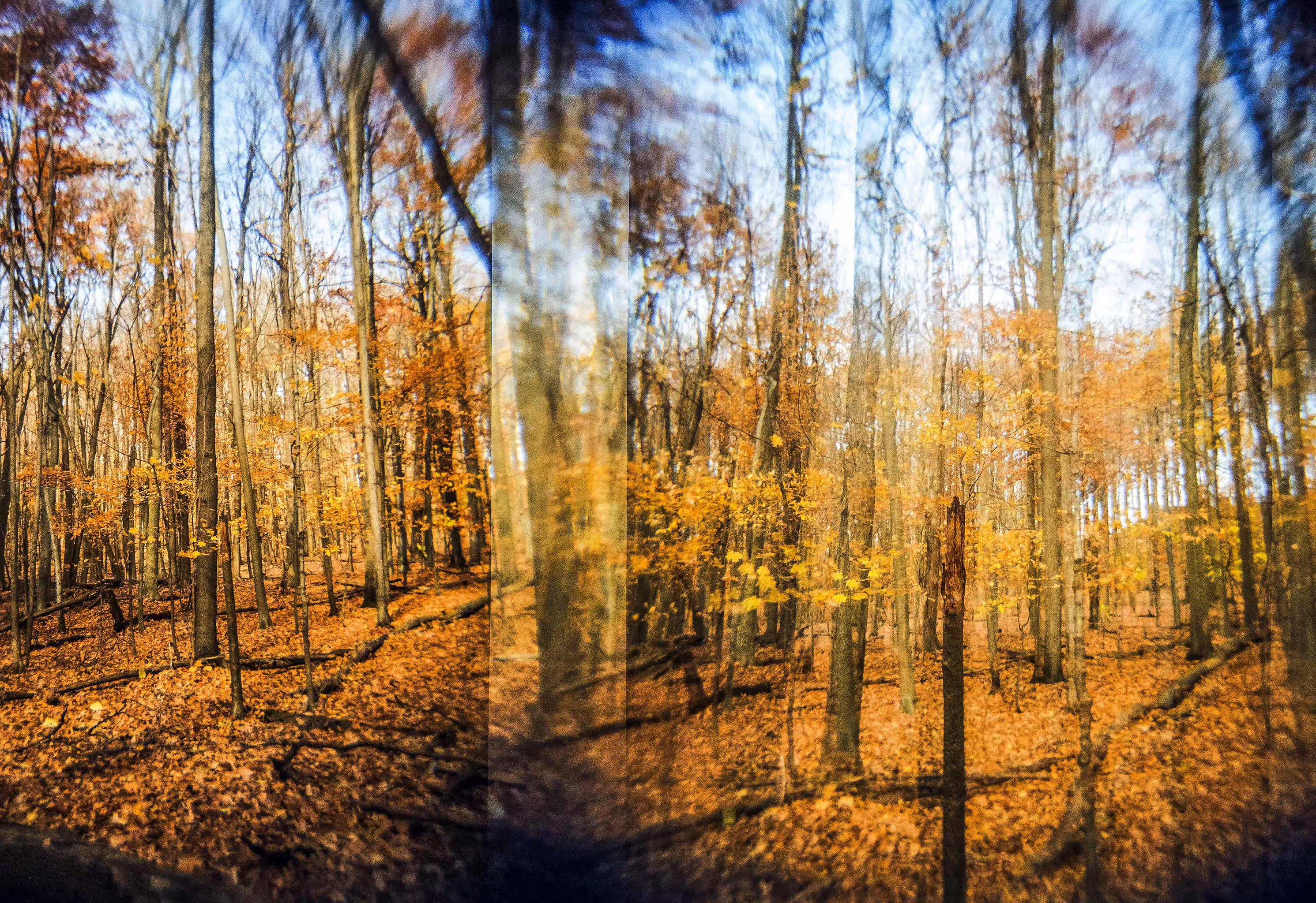 Through A Mirror Brightly
