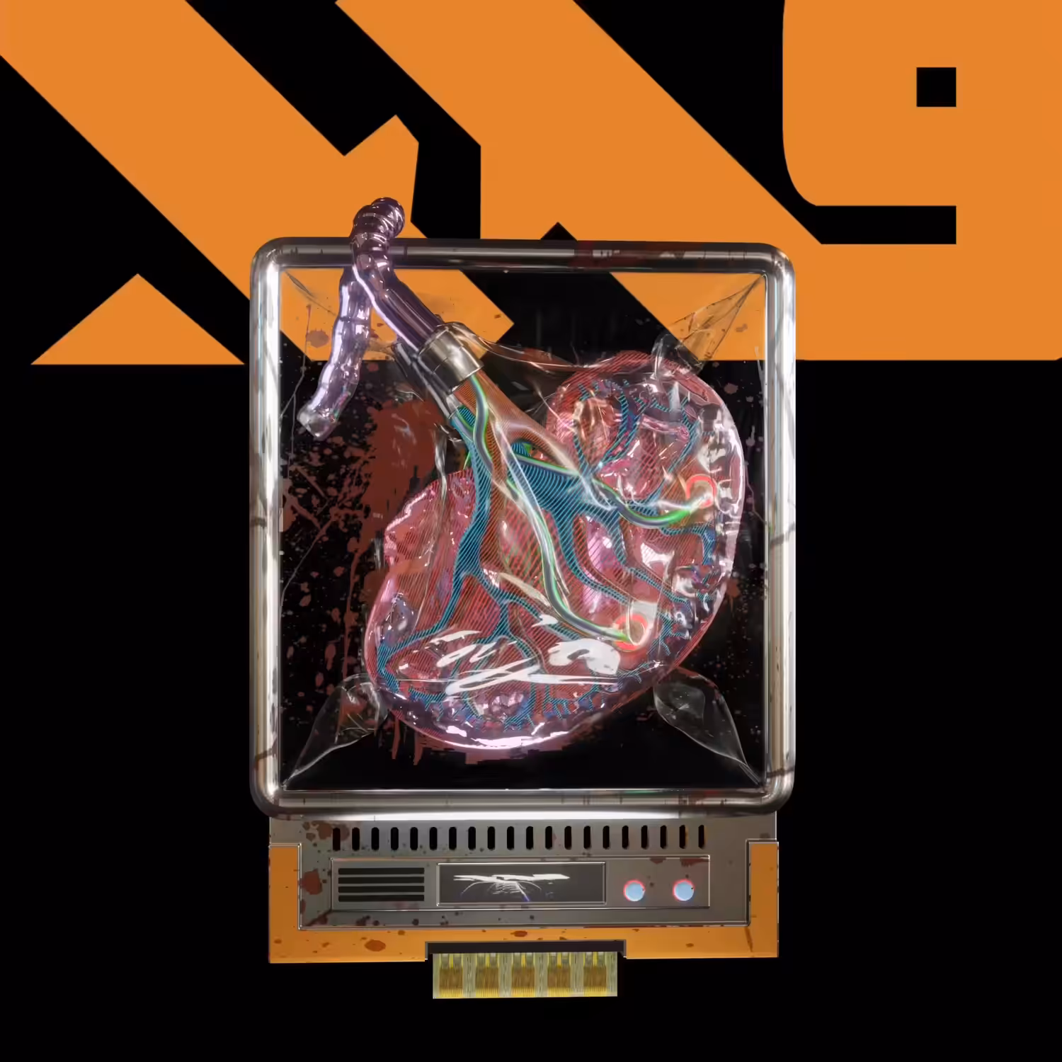 Used Kidney 
