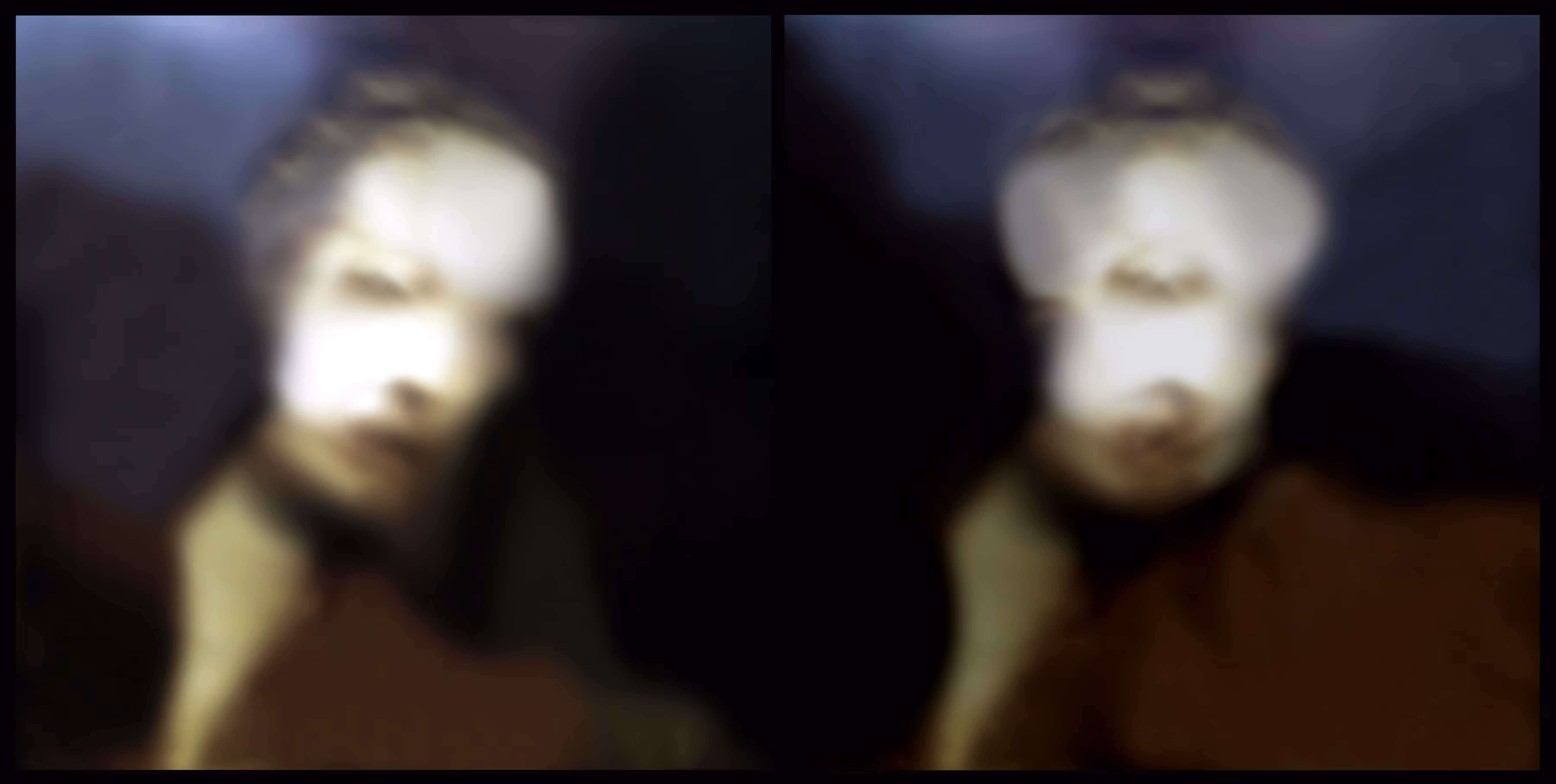 je est un autre - studies for a metaphysical self portrait