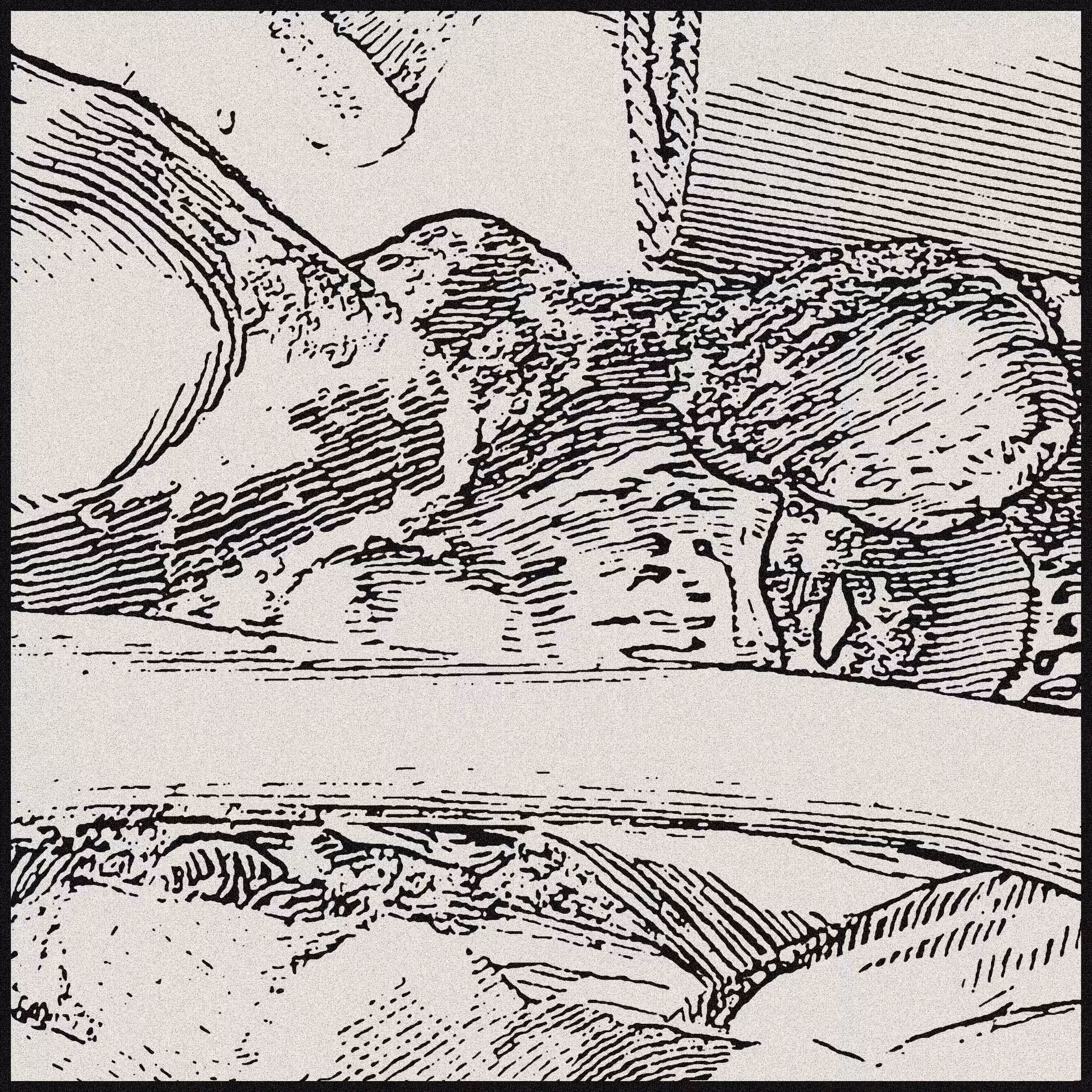 Diagenesis [8/12]