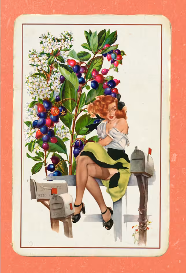 Paper Pinups #8