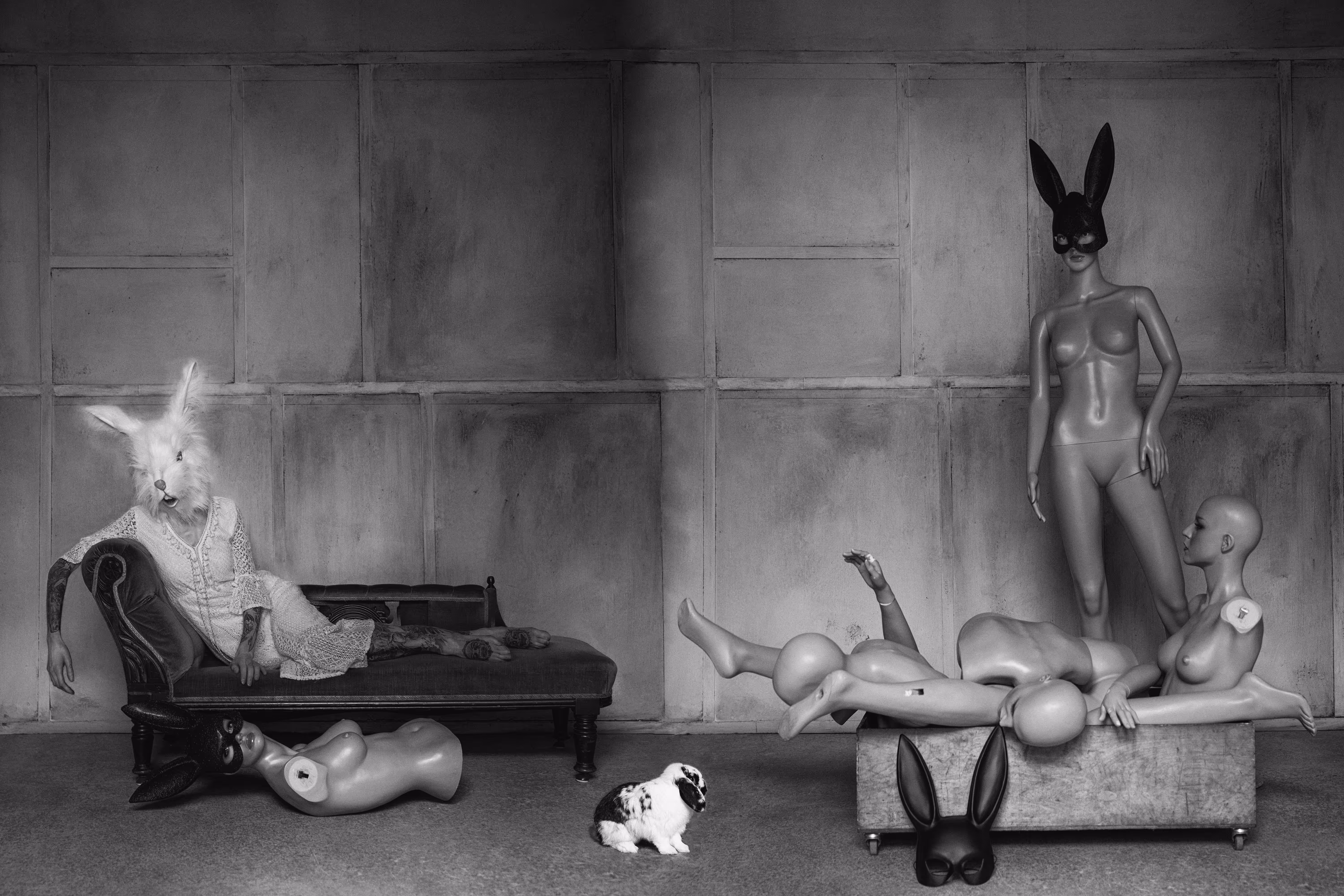 Bunny Chronicles