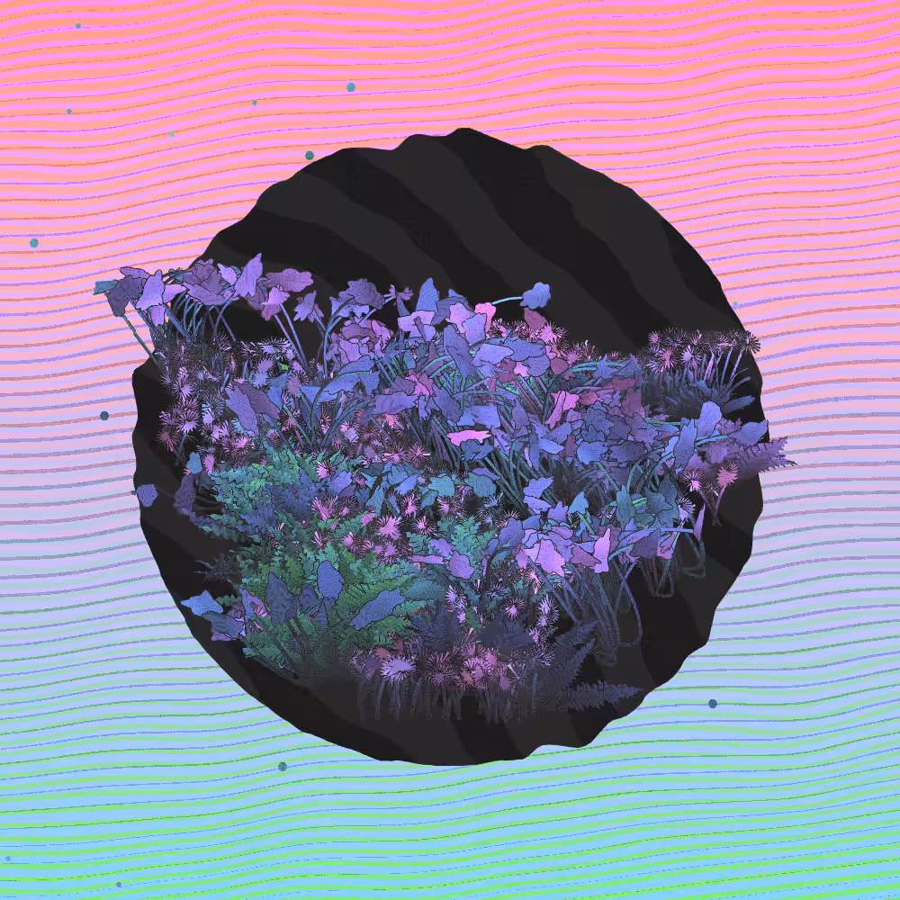 A Gift of Nature #188