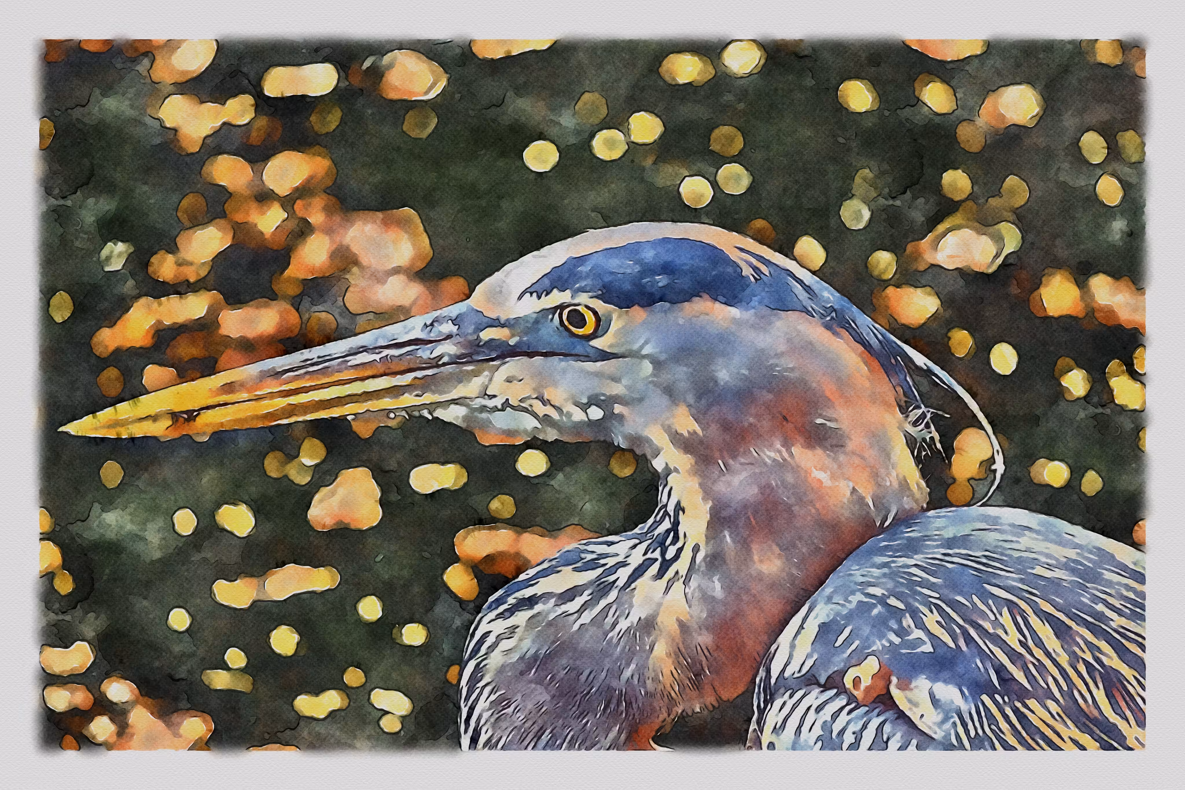 Watercolored: Watercolor - Great Blue Heron 8