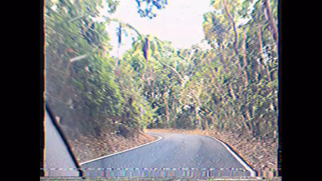 Visit El Junque Tropical Rainforest 