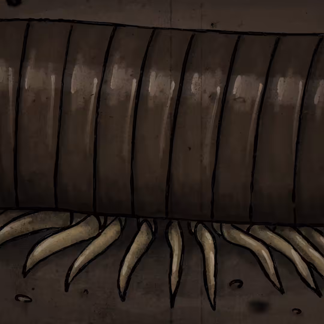 Millipede