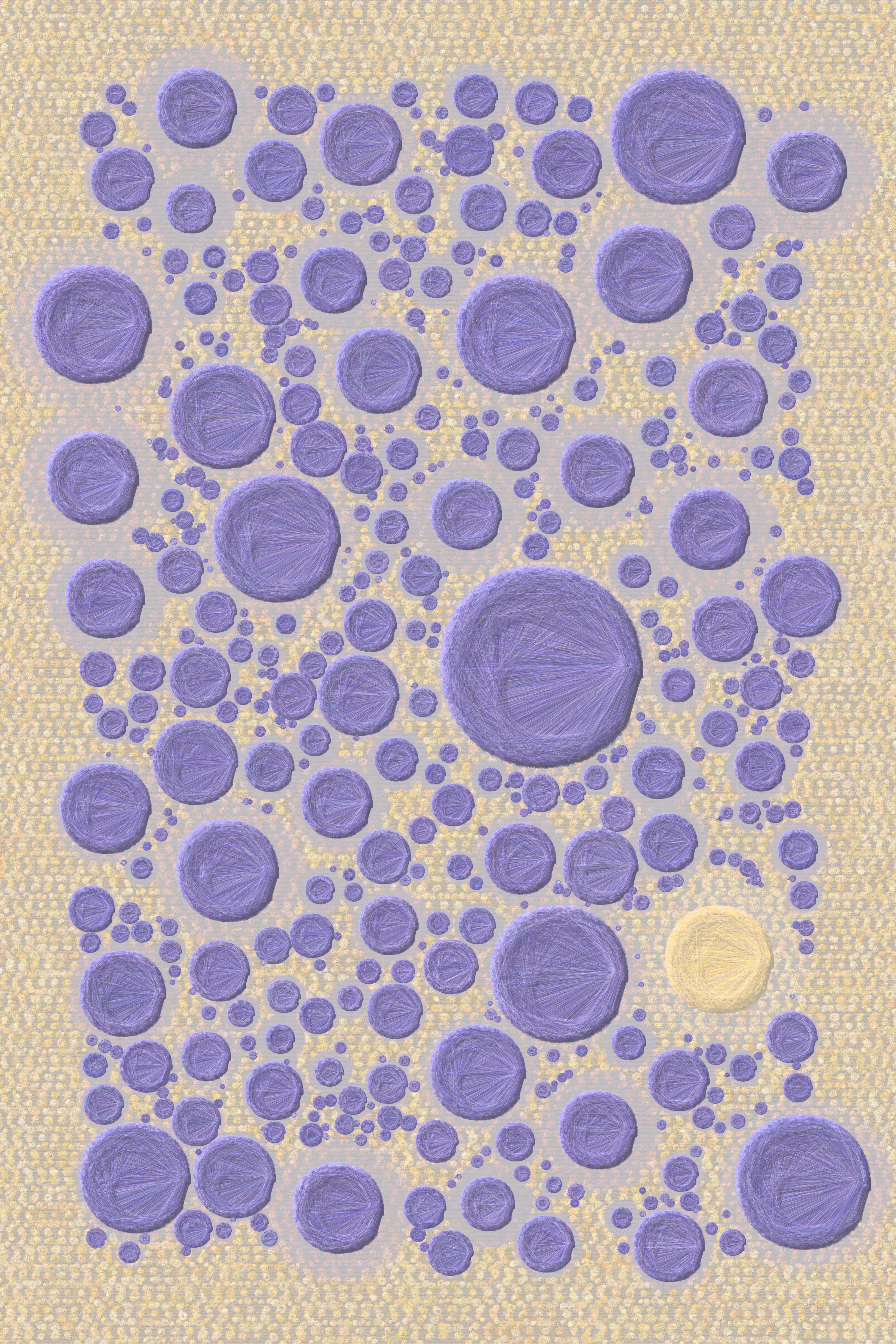 lavender fields