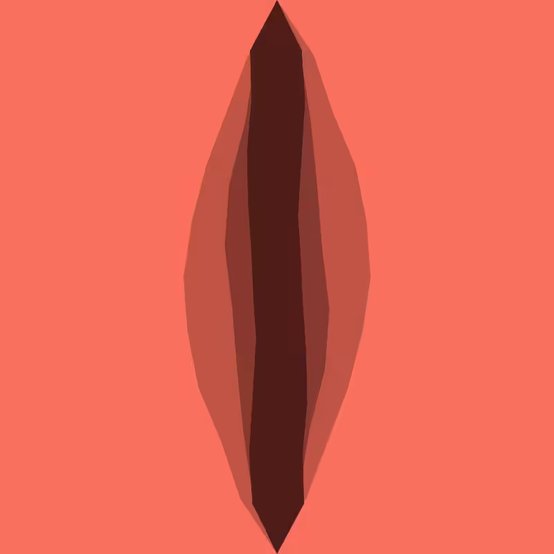Vaginereitor #3