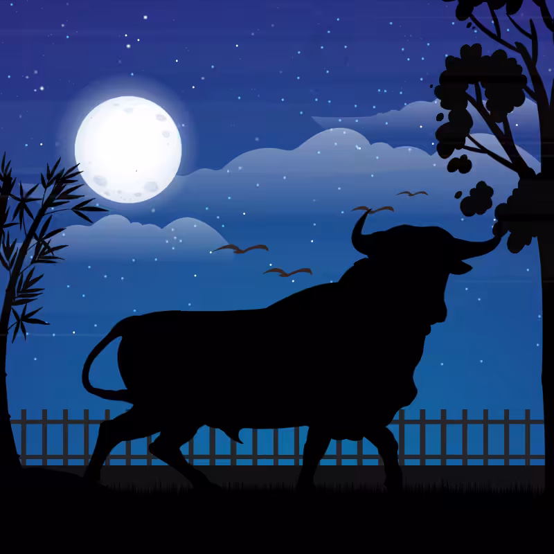 We Care...Bull #5