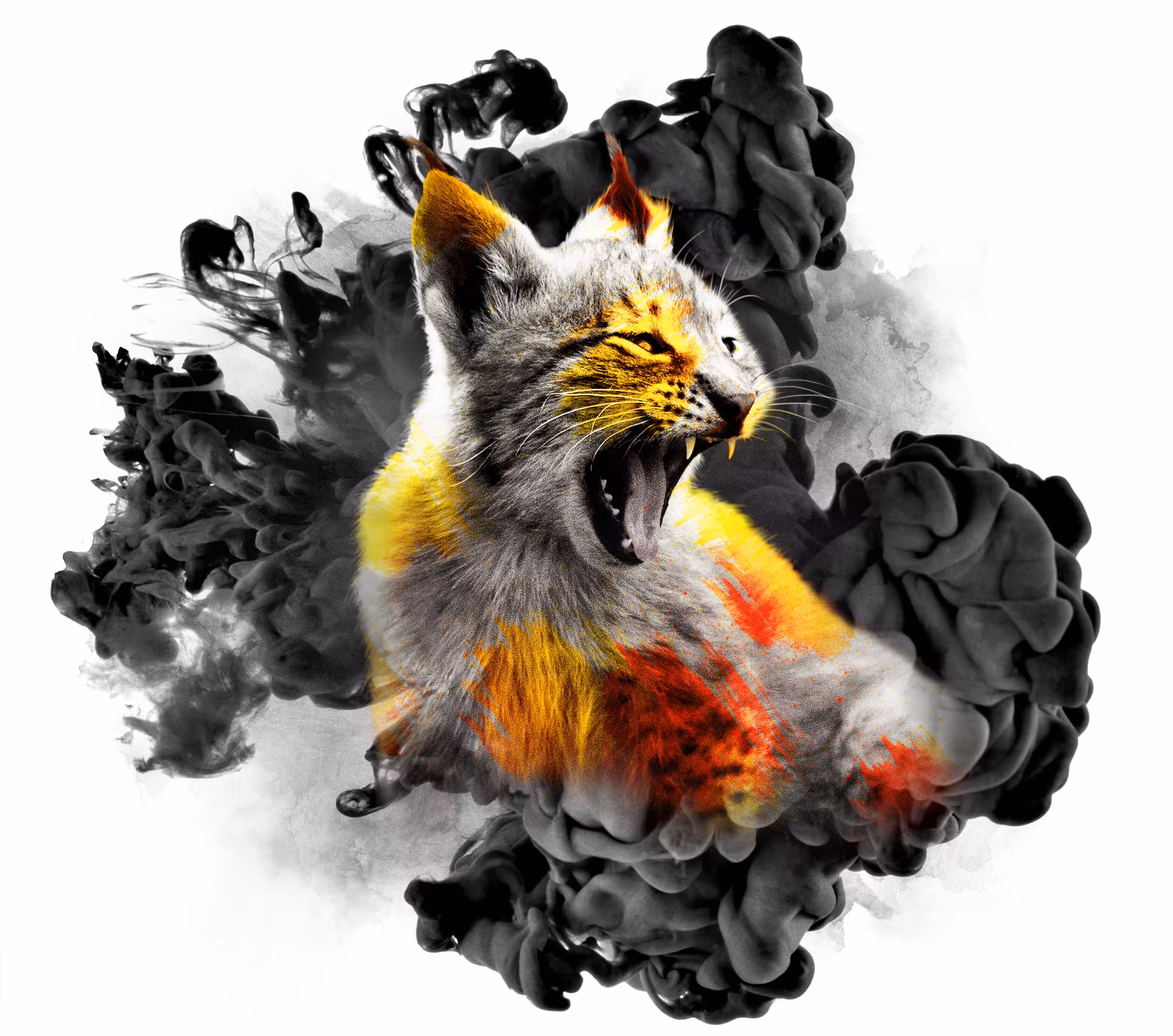 VENOM FIRE BABY - LYNX